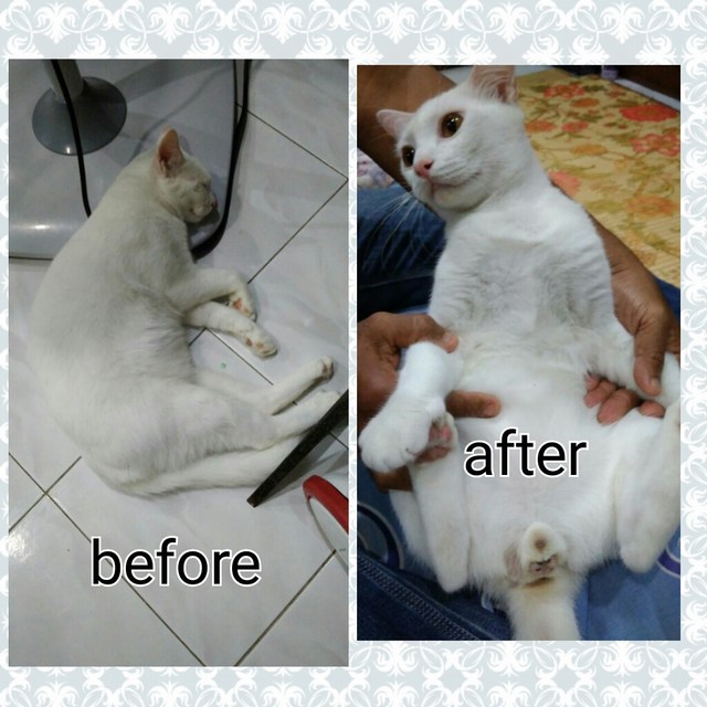 mini-PhotoGrid_1489504150403