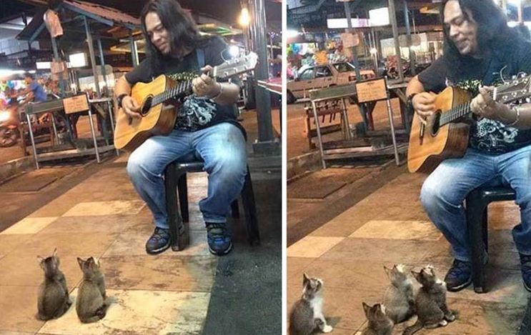 street singer