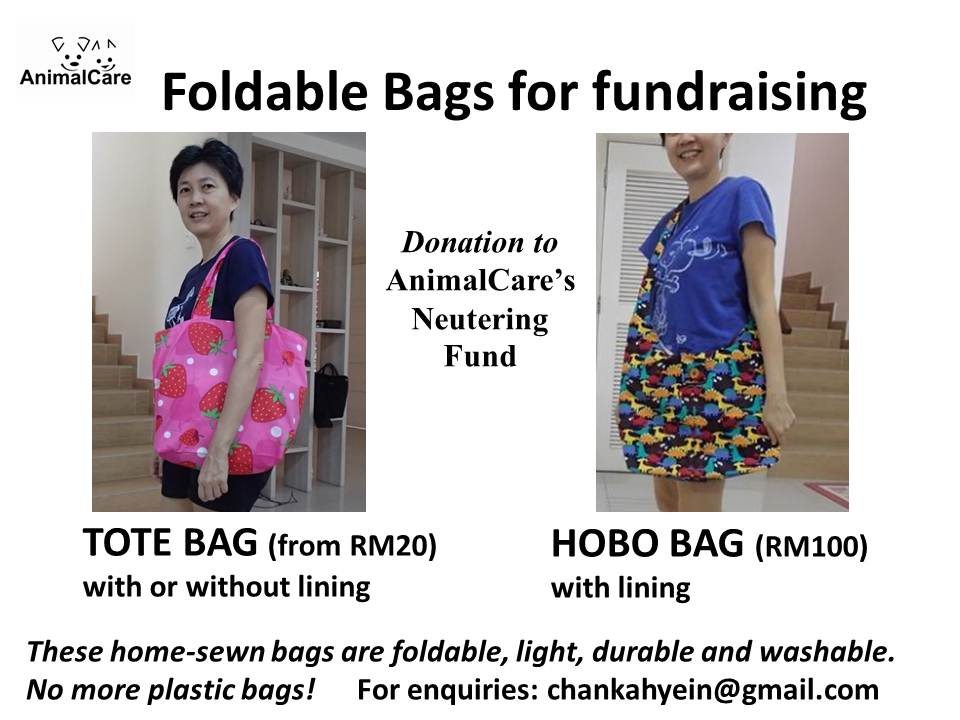 BAGS advert